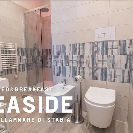 فندق مبيت وإفطار Seaside 3*